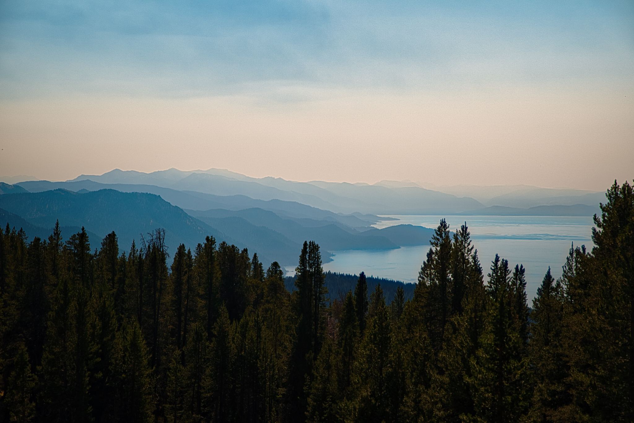 shadows of tahoe